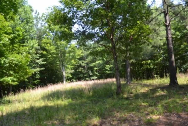 7.26 AC LOCATED IN THE COUNTRY OF TN / CLOSETO FALL CREEK FALLS & CHATTANOOGA TN - Spencer, Tennessee, 38585