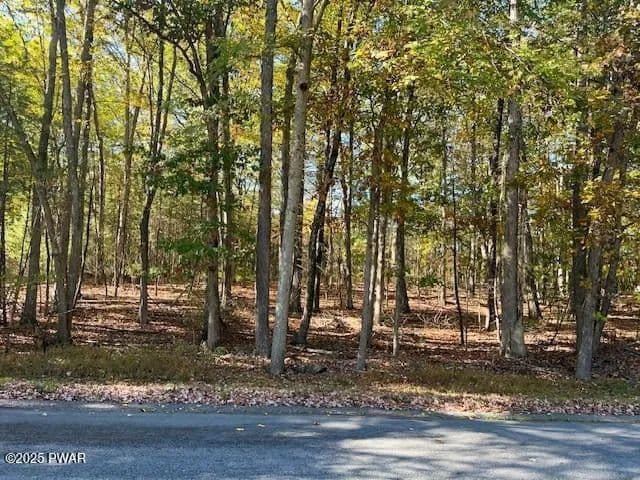 Vacant Land in Dingmans Ferry - Dingmans Ferry, Pennsylvania, 18328