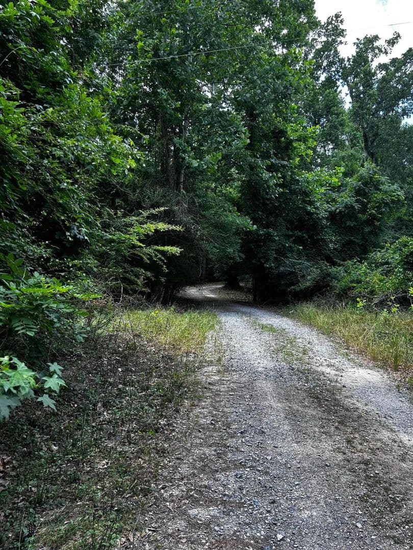 Vacant Land (10+ Acres) in Ridgeville - Ridgeville, South Carolina, 29472