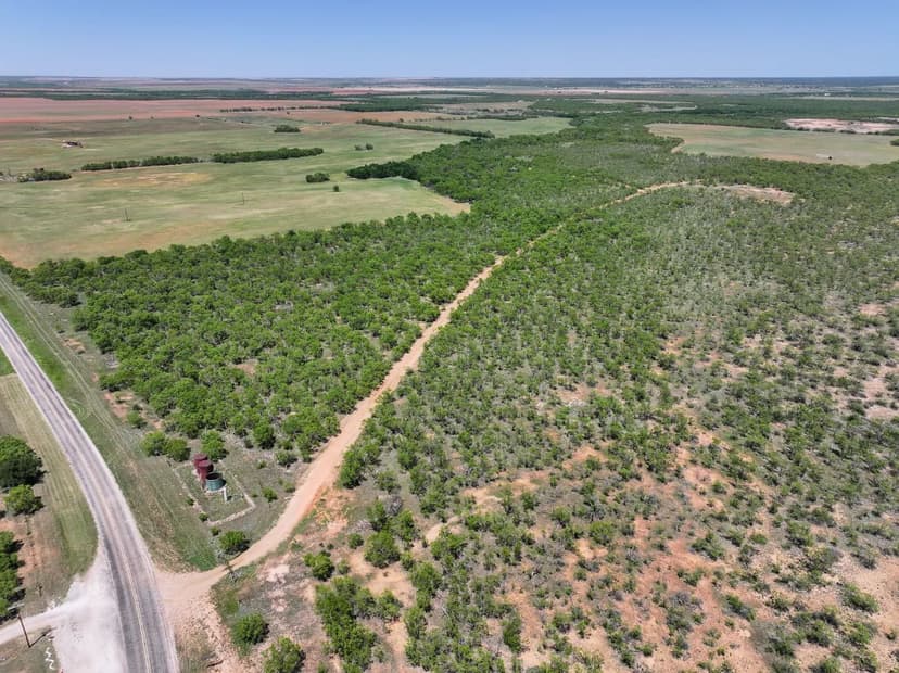 10.01+/- Acres, TBD FM 3116, Hawley (Tract 1)