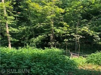 Vacant Land in Minnetonka