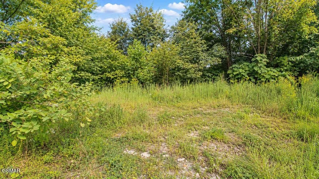 Vacant Land in Gatlinburg - Gatlinburg, Tennessee, 37738