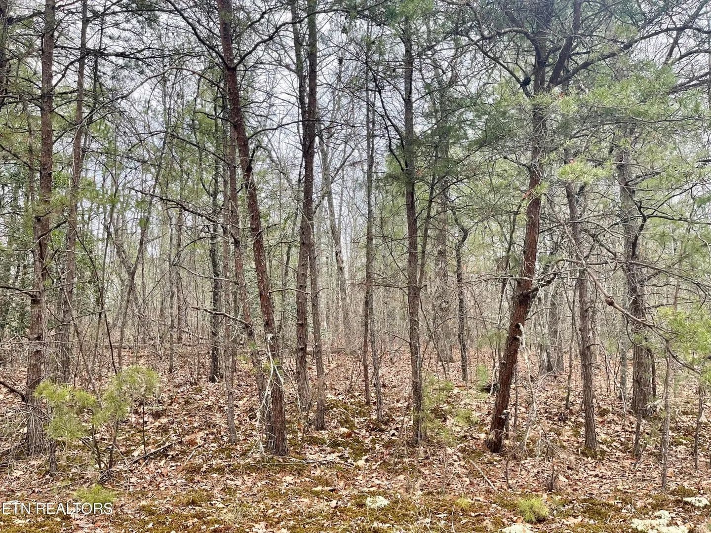 Lots & Land-Other in Crossville - Crossville, Tennessee, 38558