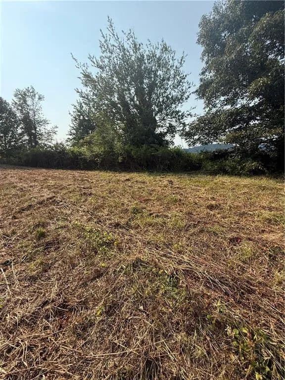 Land -Single Family Acreage in Ellijay - Ellijay, Georgia, 30536