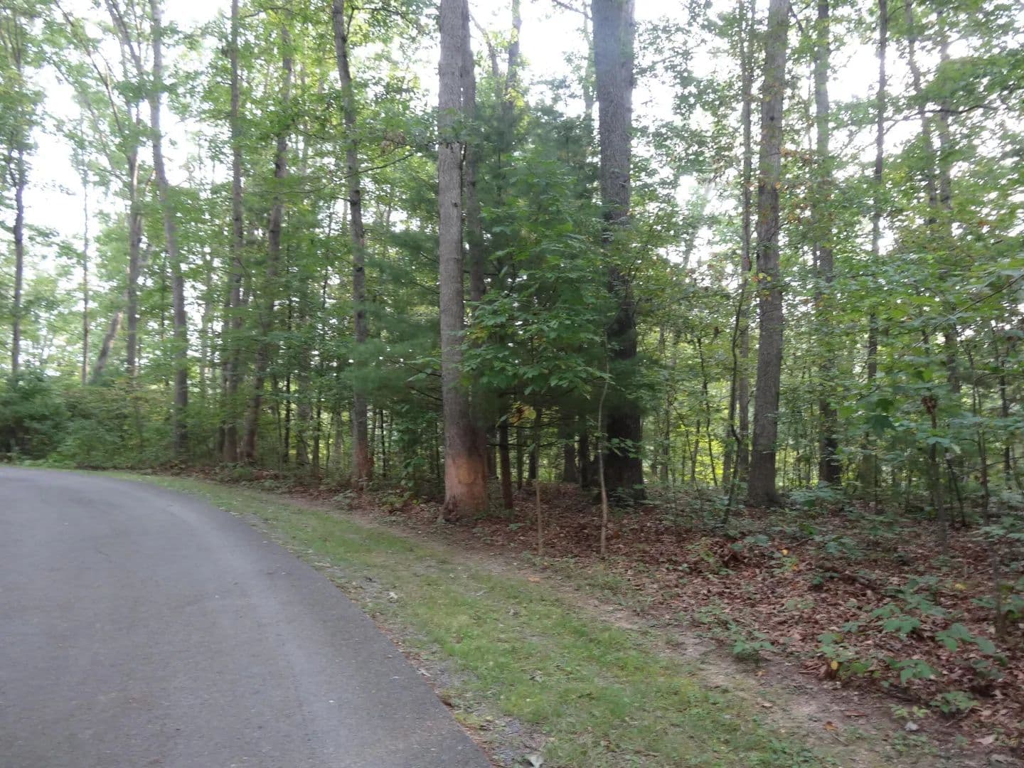 Lots & Land-Other in Lewisburg - Lewisburg, West Virginia, 24901