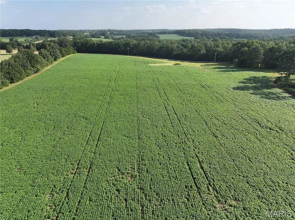 67.94 Acres of Land for Sale in Marquand, MO - Marquand, Missouri, 63655