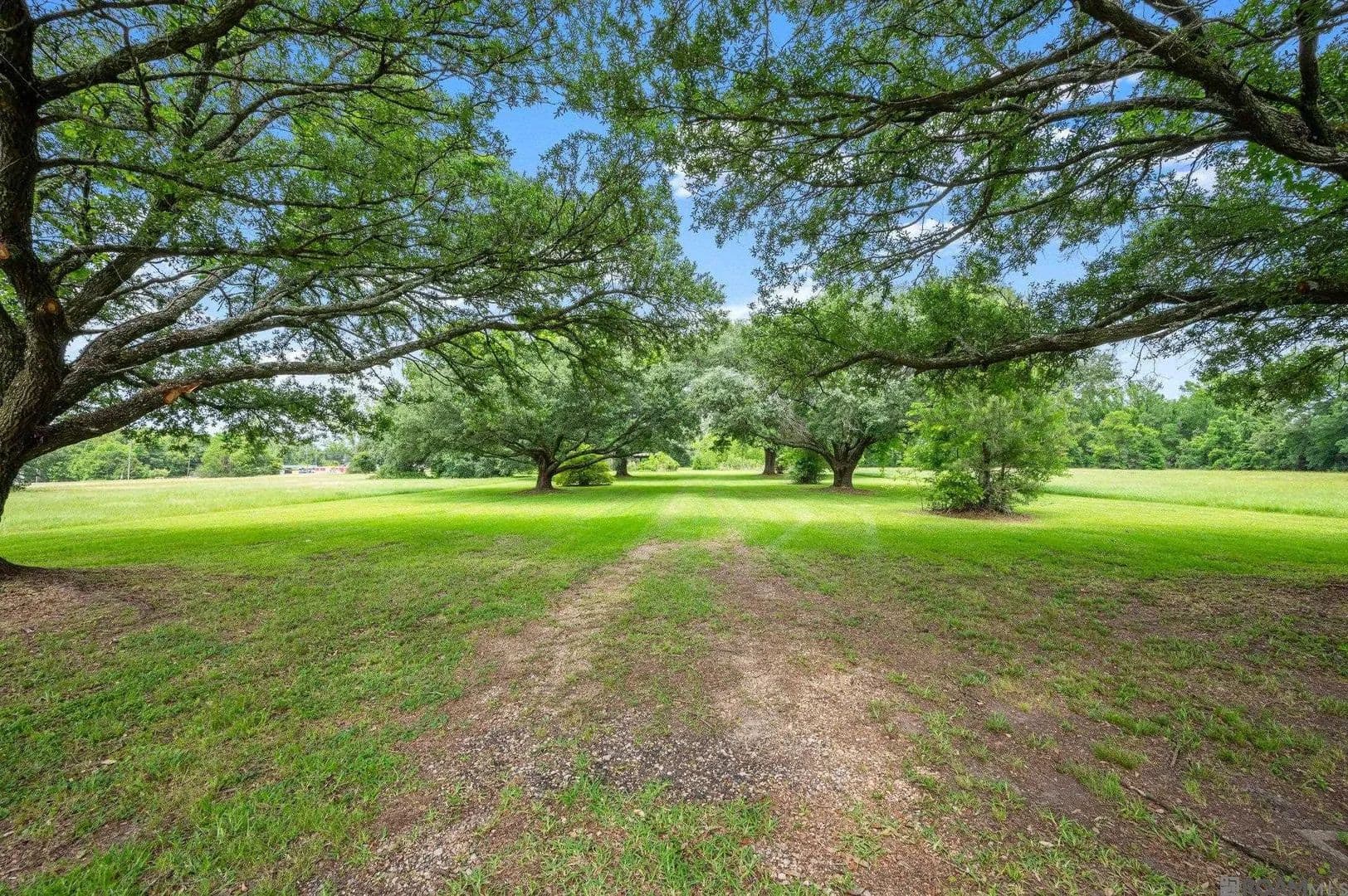 Vacant Land in Baton Rouge - Baton Rouge, Louisiana, 70811