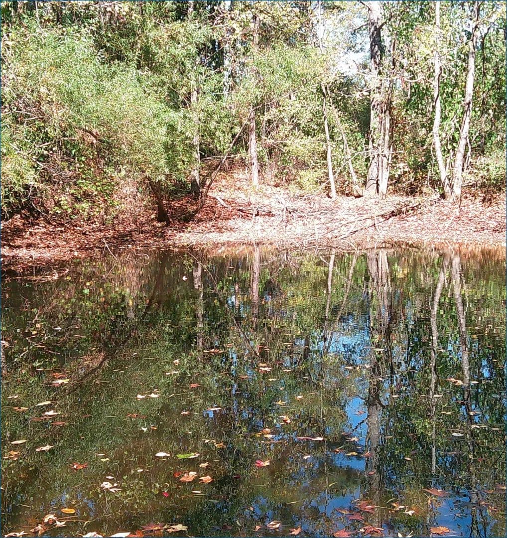 96 Acres in Panola County in Batesville, MS - Batesville, Mississippi, 38606
