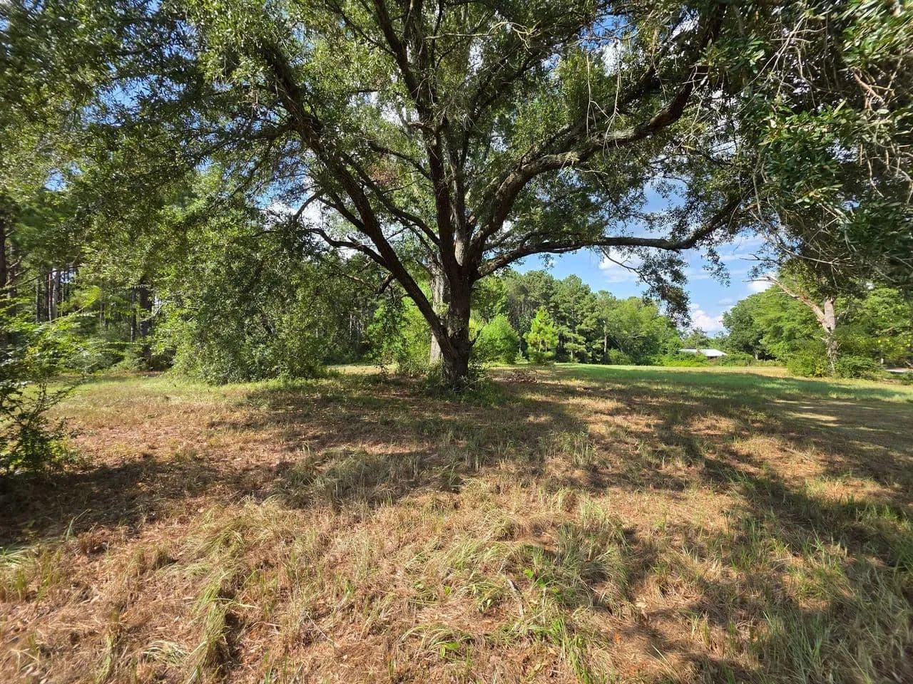 325 Double Ponds - Prentiss, Mississippi, 39601