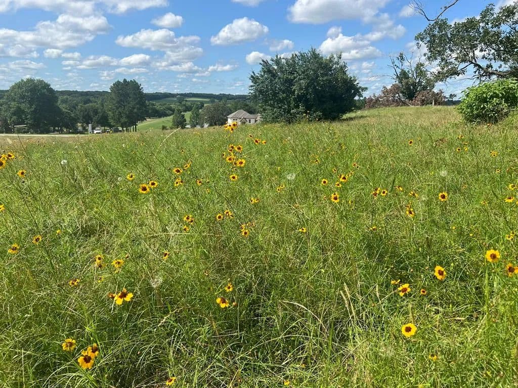 Property from Lot 231 Wildlife Way - KW - Athens, Texas, 75752