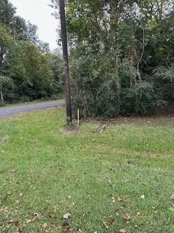 Vacant Land in Old River Winfree