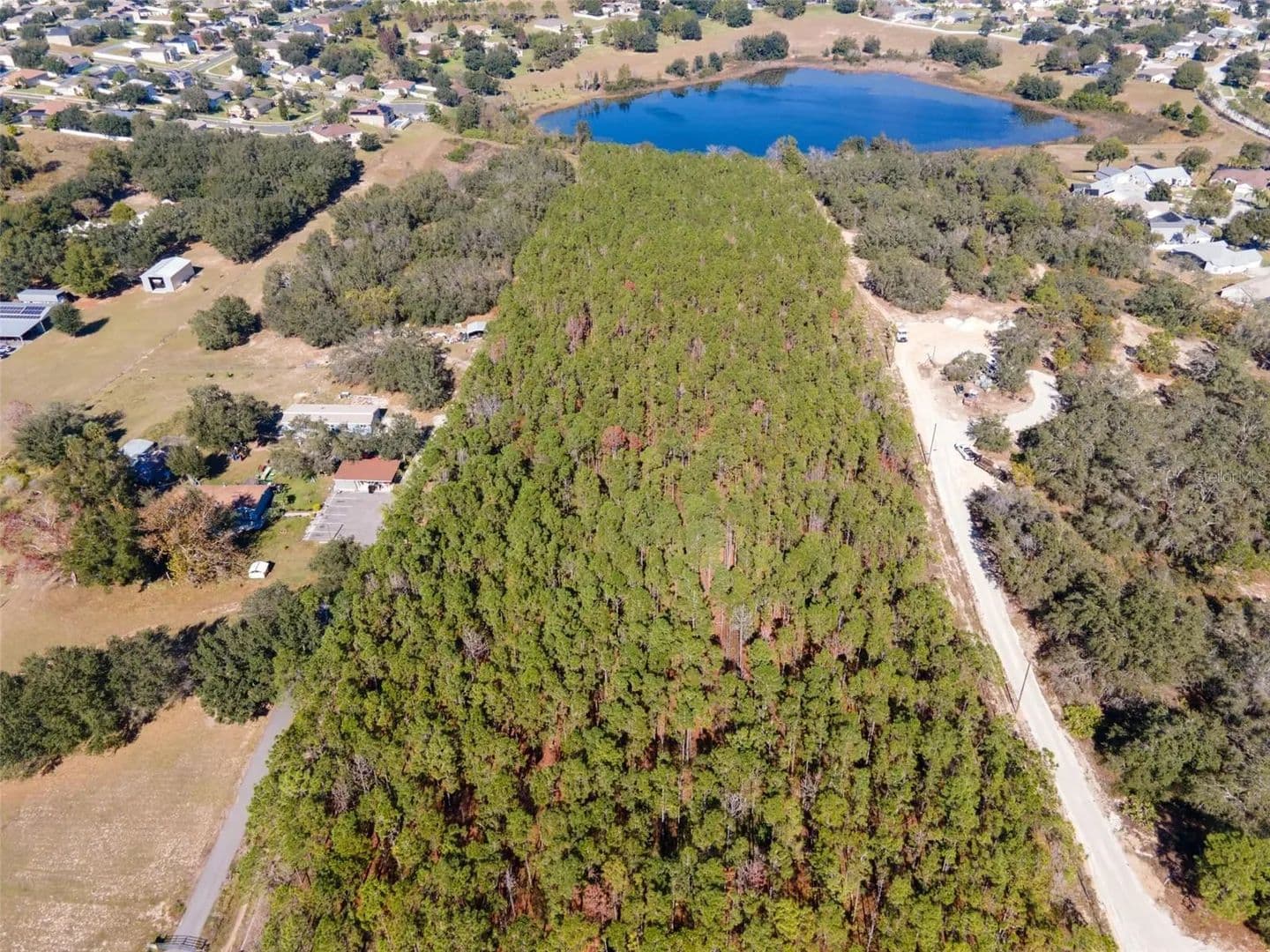 9.52 Acres of Land for Sale in Clermont, Florida - Clermont, Florida, 34711