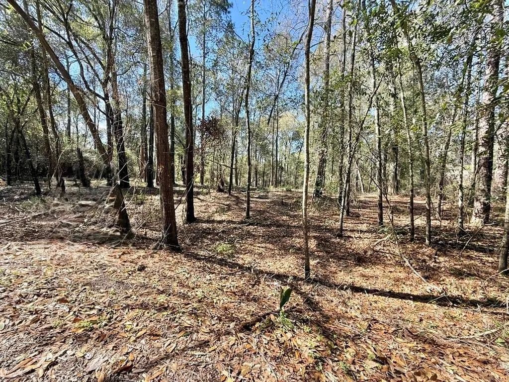 Lots & Land-Other in Bainbridge - Bainbridge, Georgia, 39819