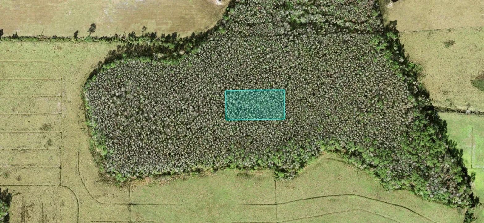 Property from NO STREET - KW - Polk City, Florida, 33868