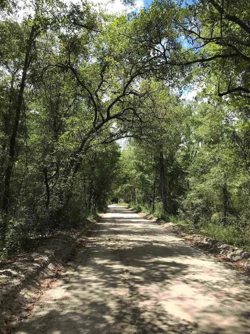Lots & Land-Other in Crawfordville - Crawfordville, Florida, 32327