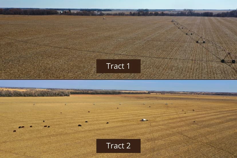 375+/- Acres For Sale | 2 Tracts | Merrick County, NE