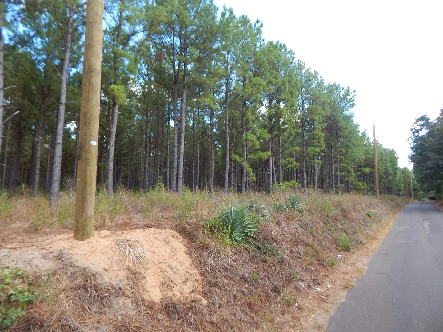 Vacant Land in Big Sandy - Big Sandy, Texas, 75755