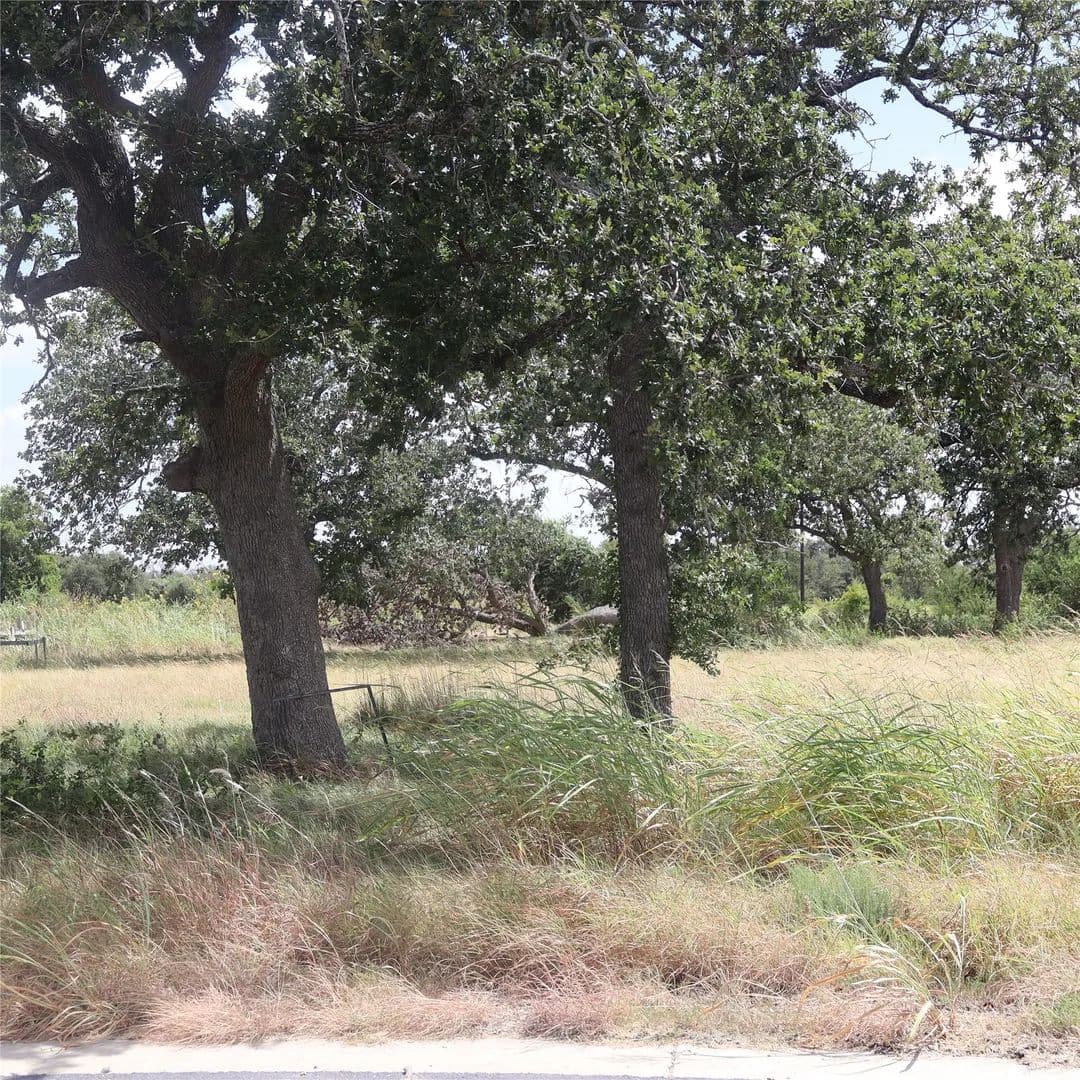 Vacant Land in Florence - Florence, Texas, 76527