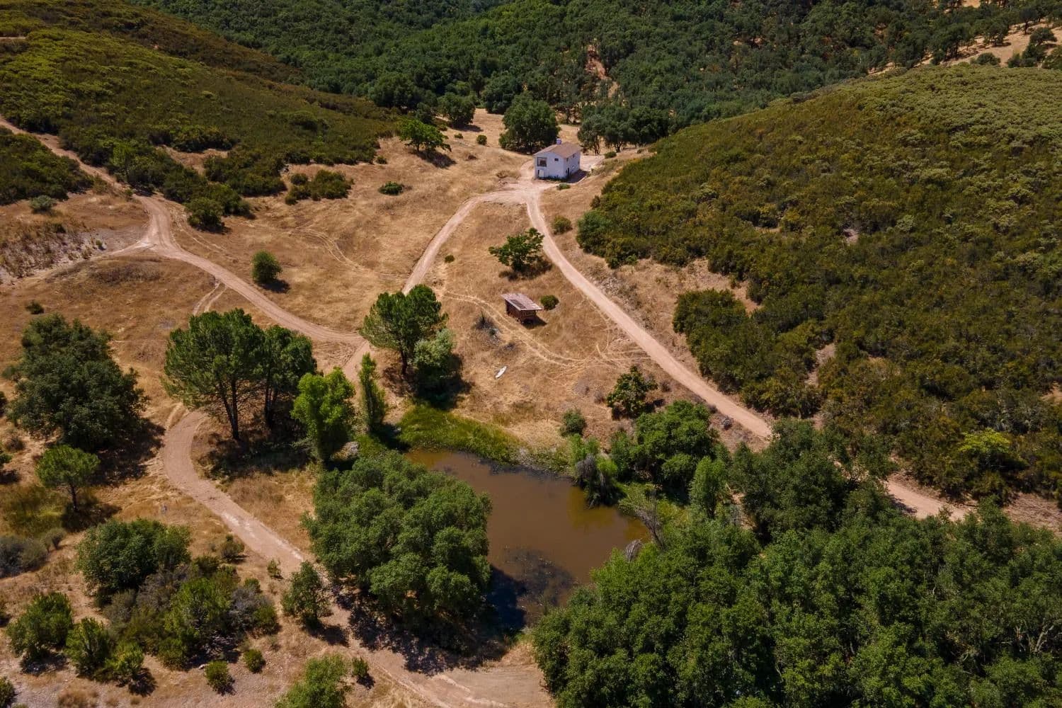 47 Acres of Land for Sale in Jackson, California - Jackson, California, 95642