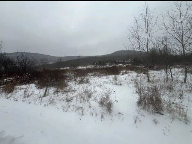 Land -Single Family Acreage in Hobart