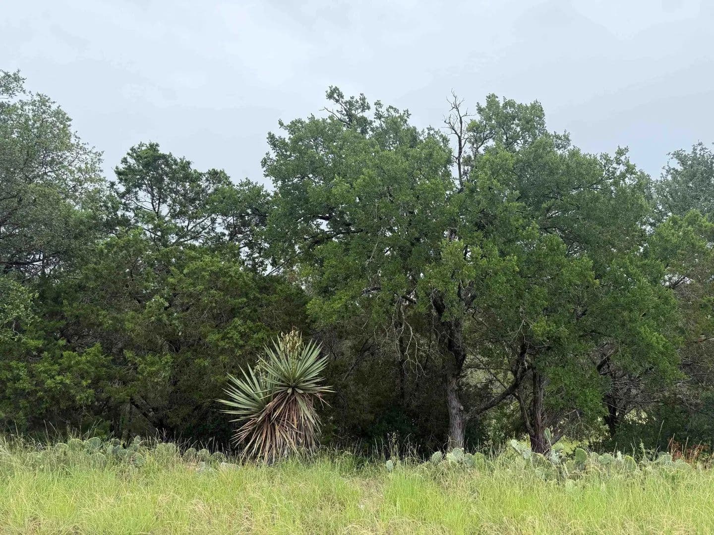 0.29 Acres of Land for Sale in Horseshoe Bay, Texas - land for sale