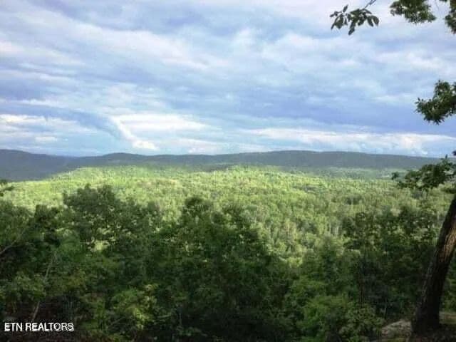 Lots & Land-Other in Harriman - Harriman, Tennessee, 37748