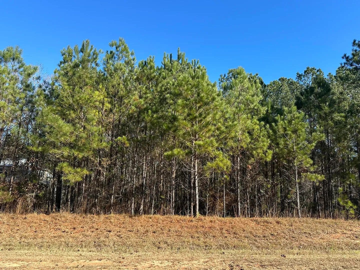 Property from Lot 62 Wisteria Drive - KW - Lincolnton, Georgia, 30817