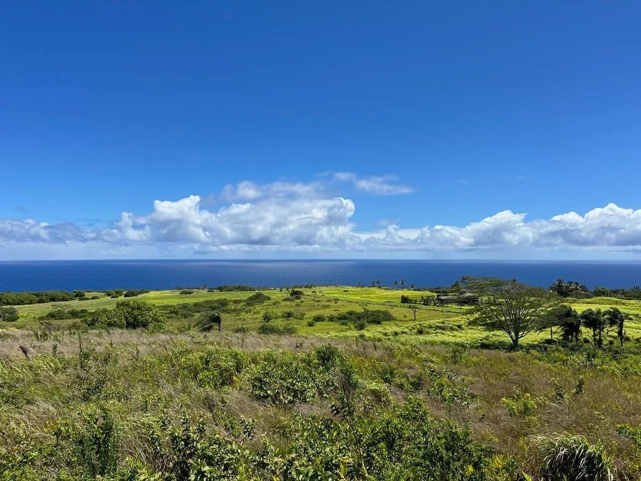 19.9 Acres of Land for Sale in Haiku, HI - Haiku, Hawaii, 96708