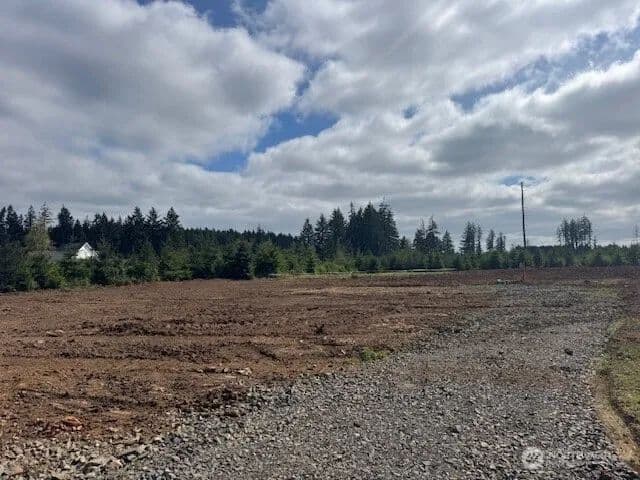 Land -Single Family Acreage in Winlock - Winlock, Washington, 98596