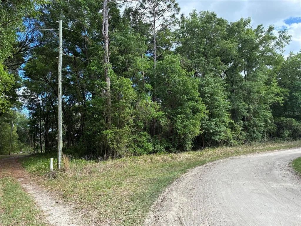 Vacant Land in Ocklawaha - Ocklawaha, Florida, 32179