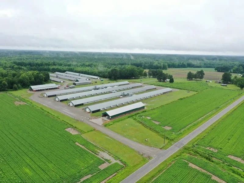 S&N Enterprises | Eight House Broiler Farm in Edgecombe Co., NC - Pinetops, North Carolina, 27864