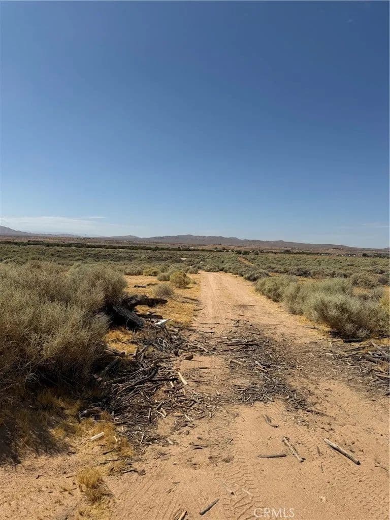 Vacant Land in Helendale - Helendale, California, 92342