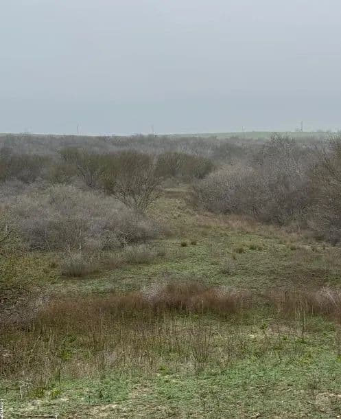 Land -Agricultural (Not Zoned) in Kenedy