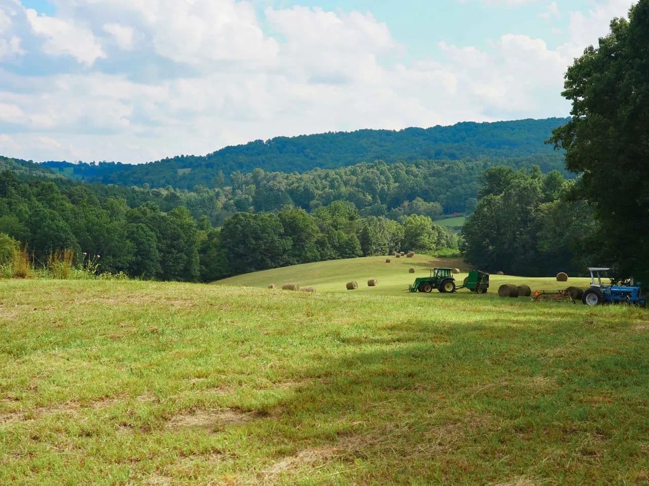 The Country Divide: 22+/- Balanced Acres, Split Between Pasture & Woods in Floyd County, VA - Willis, Virginia, 24380