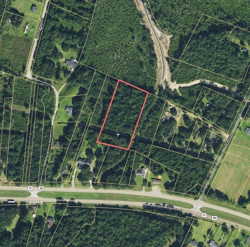 Vacant Land in McClellanville