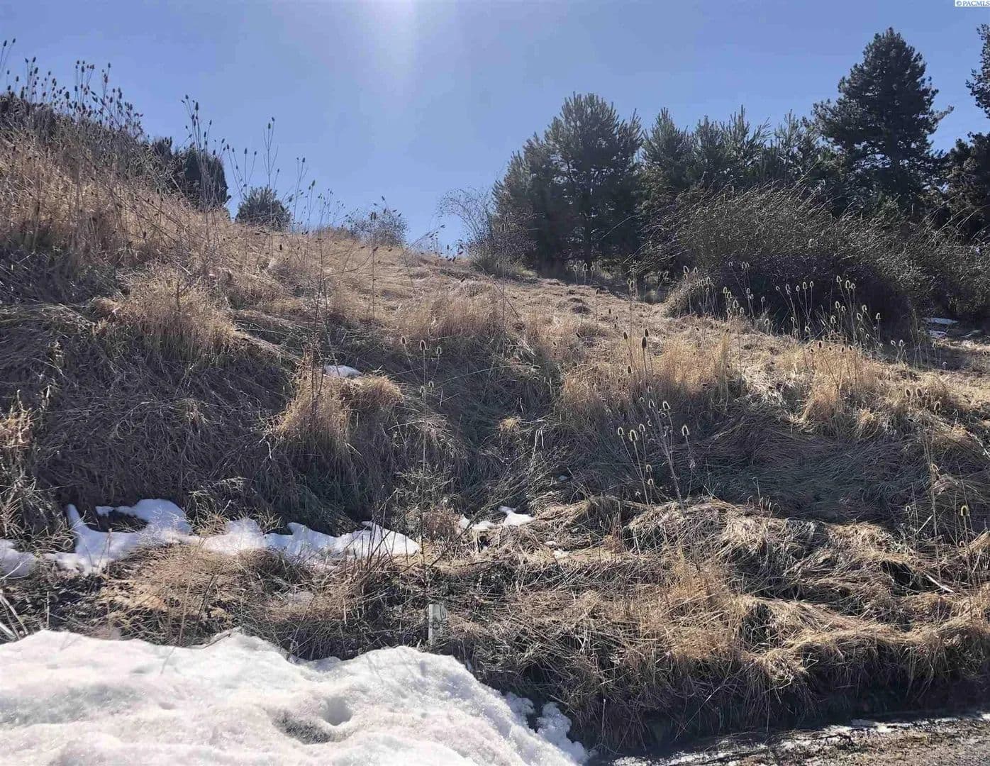 Lots & Land-Other in Pullman - Pullman, Washington, 99163
