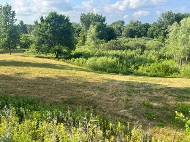 Lots & Land-Other in Albany - Albany, Minnesota, 56307