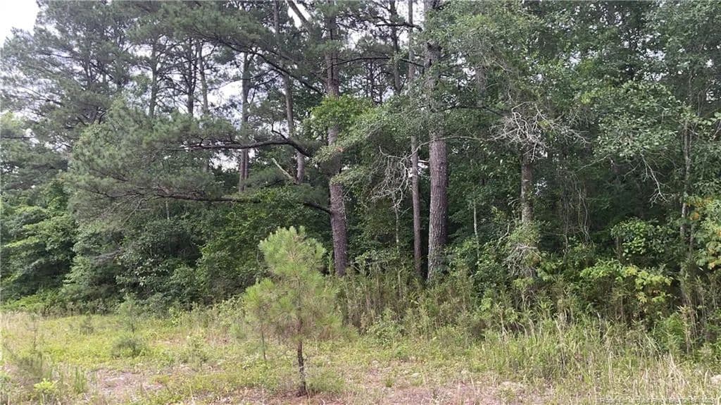 Vacant Land in Fayetteville - Fayetteville, North Carolina, 28312