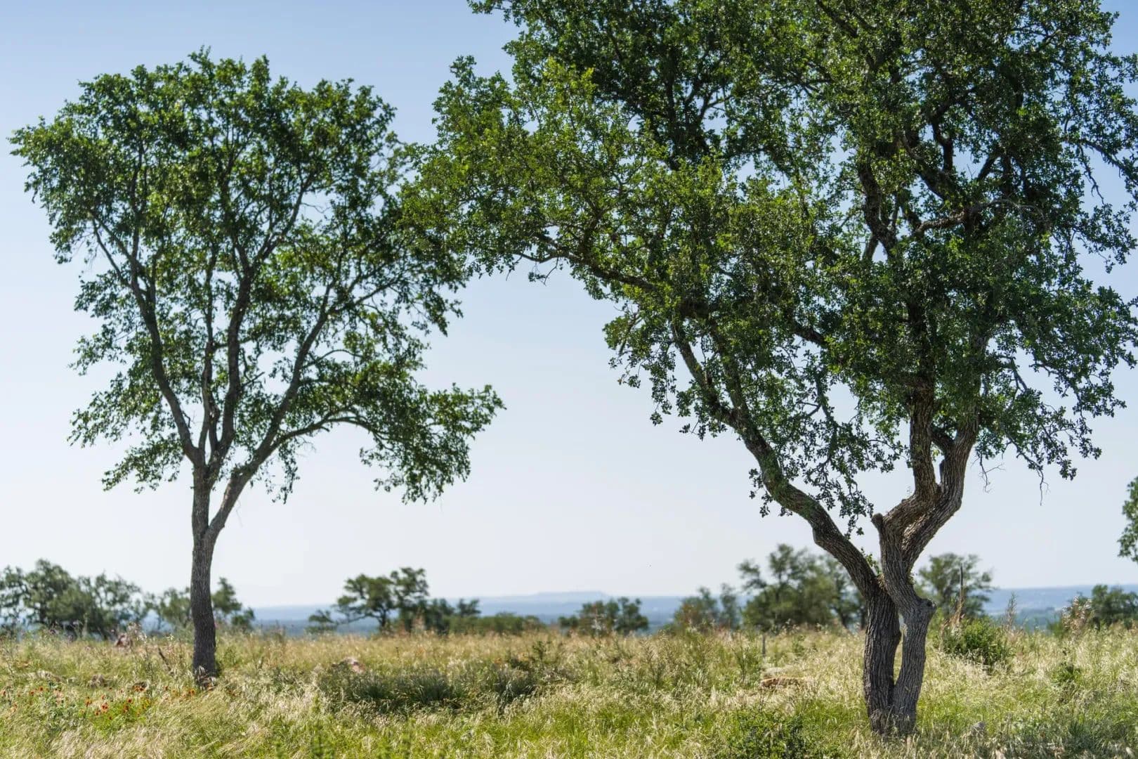 Lot 148 Big Creek Ranch - Kingsland, Texas, 78639