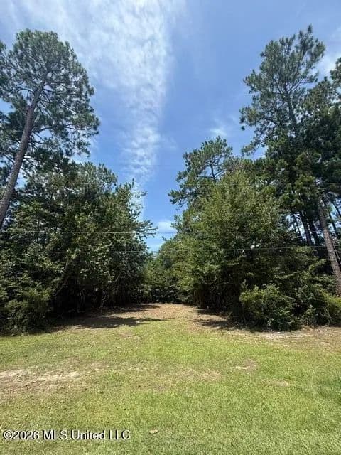Vacant Land in Kiln - Kiln, Mississippi, 39556