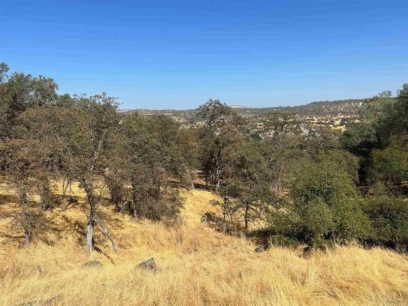 Lots & Land-Other in Copperopolis