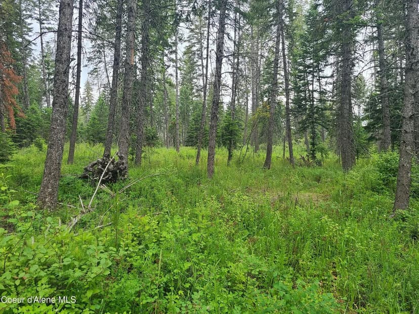 Property from NKA Moose Creek Rd - KW