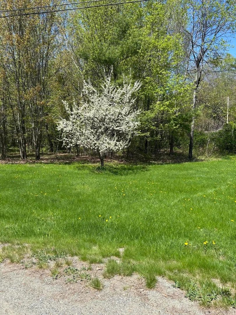 Property from 1 Katie Crotch Road - KW