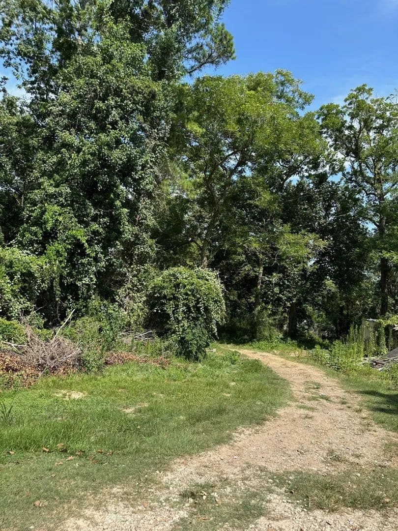 Vacant Land in Dayton - Dayton, Texas, 77535