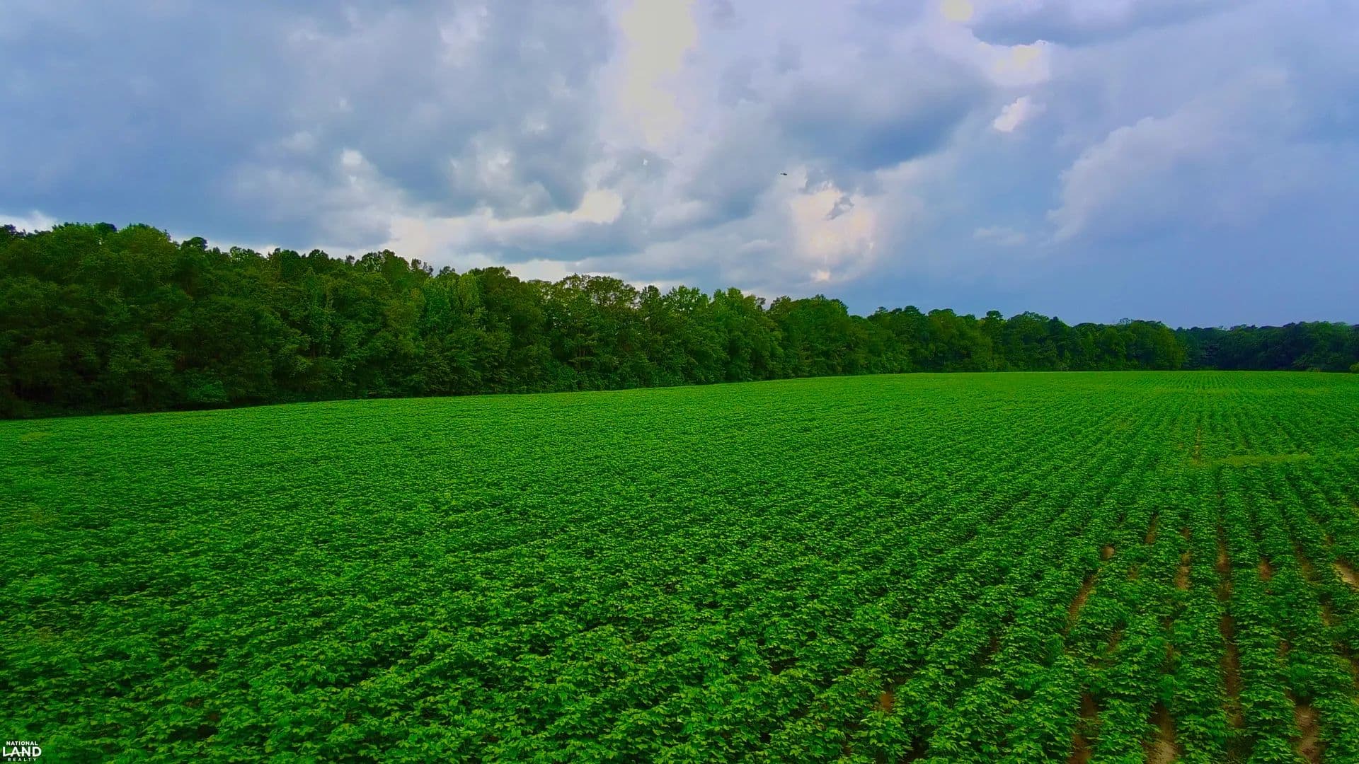 Pate Recreational, Farm, and Home Site - Newton, Alabama, 36352