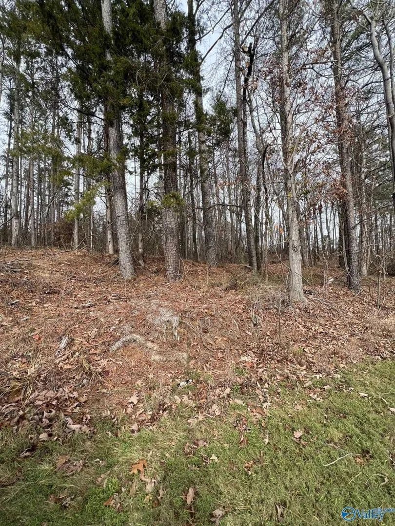 Lots & Land-Other in Guntersville - Guntersville, Alabama, 35976