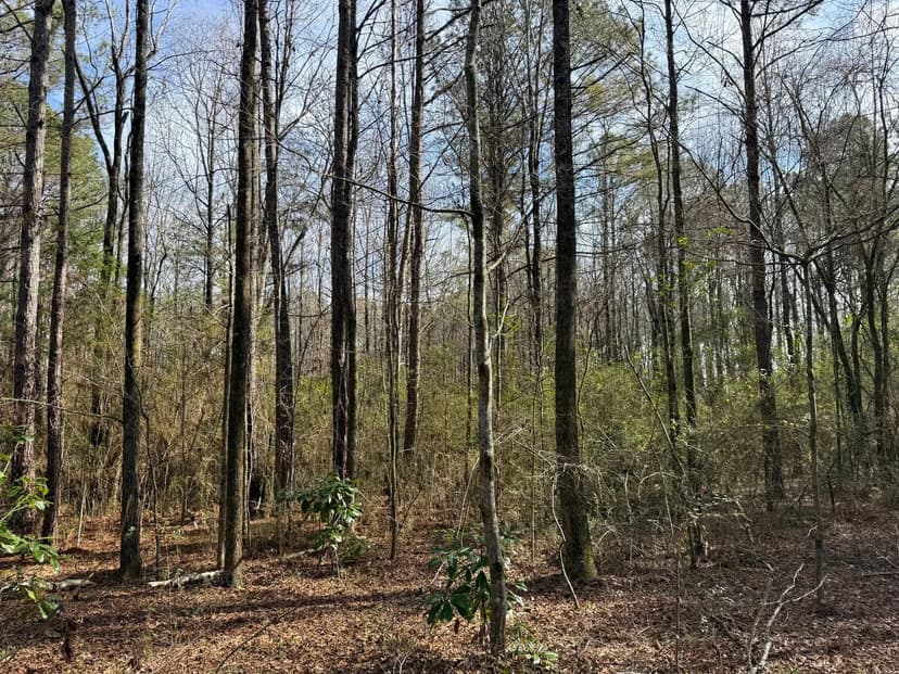 8+/- acres on Bagley Rd.