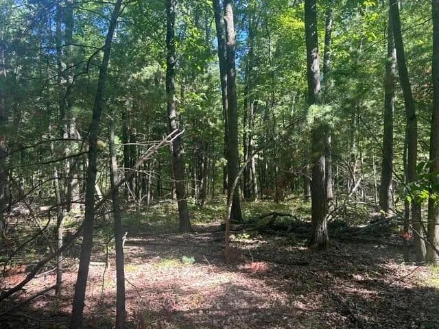 Lots & Land-Other in Stanwood - Stanwood, Michigan, 49346