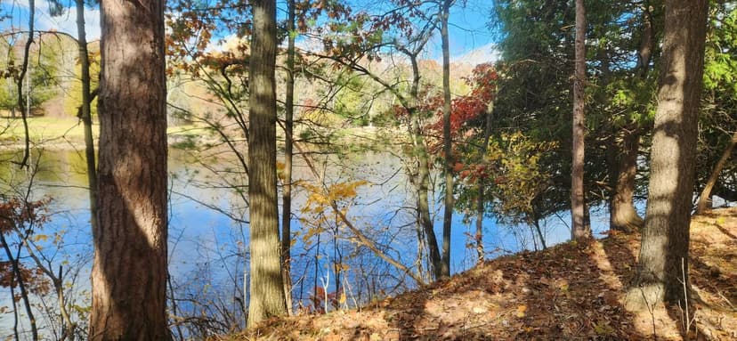 Lots & Land-Other in Big Rapids