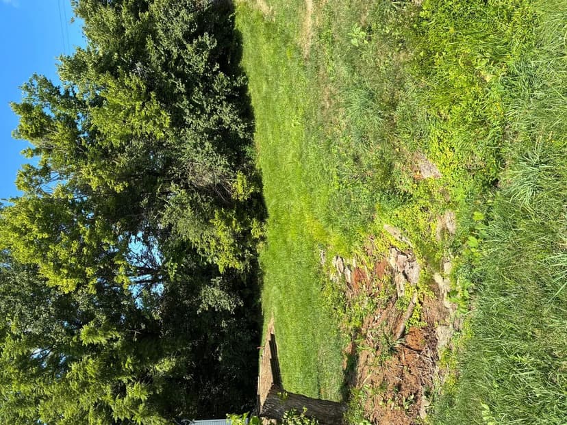 Property from 27 Old Nicholson Road - KW